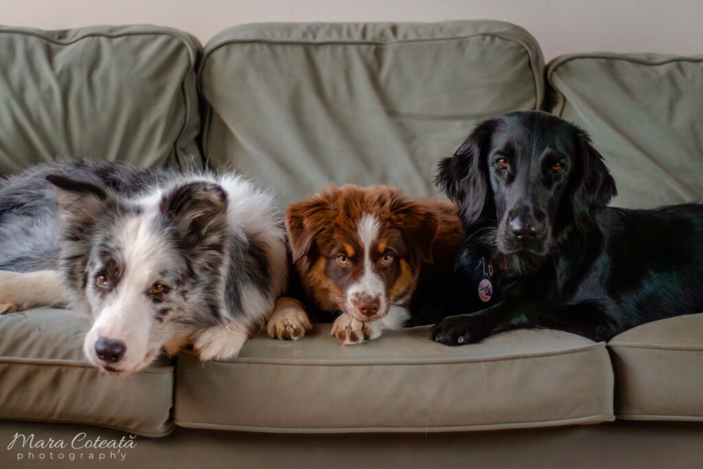 Home img 0021